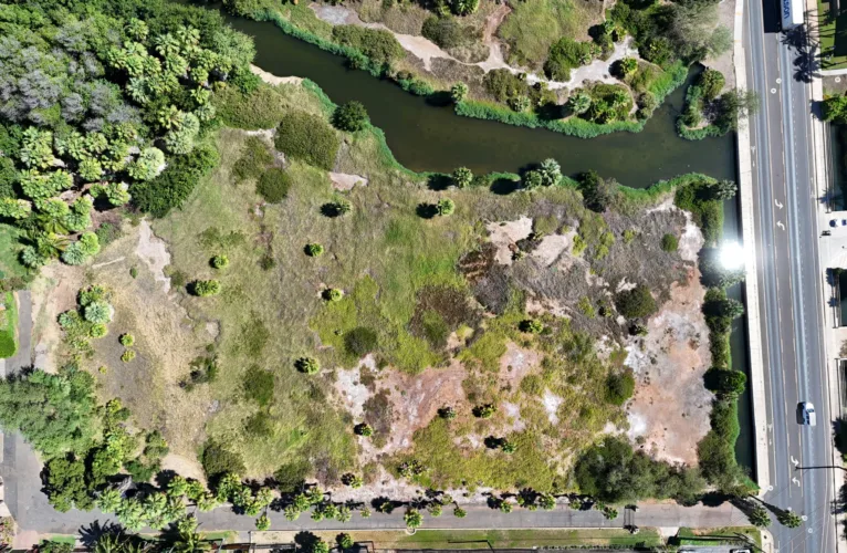 Volunteers sought for wetlands restoration